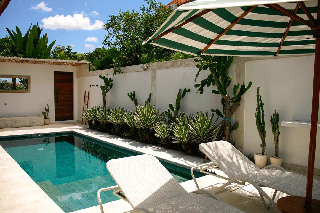 Villa Padi Sunset Berawa, One-Bedroom Villa with Ricefields View